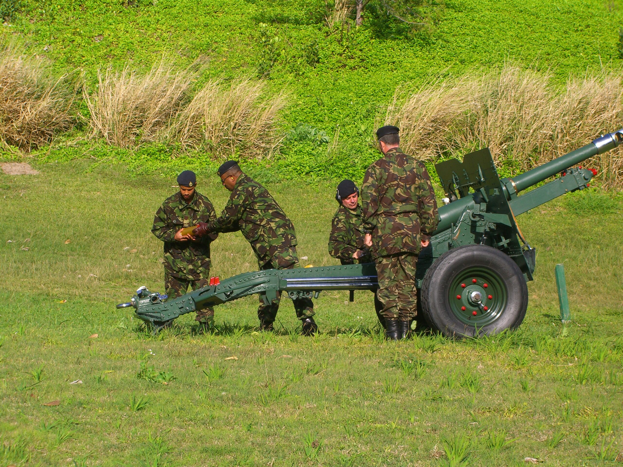 OIC Practice Saluting Gun Course Jan 2008 1