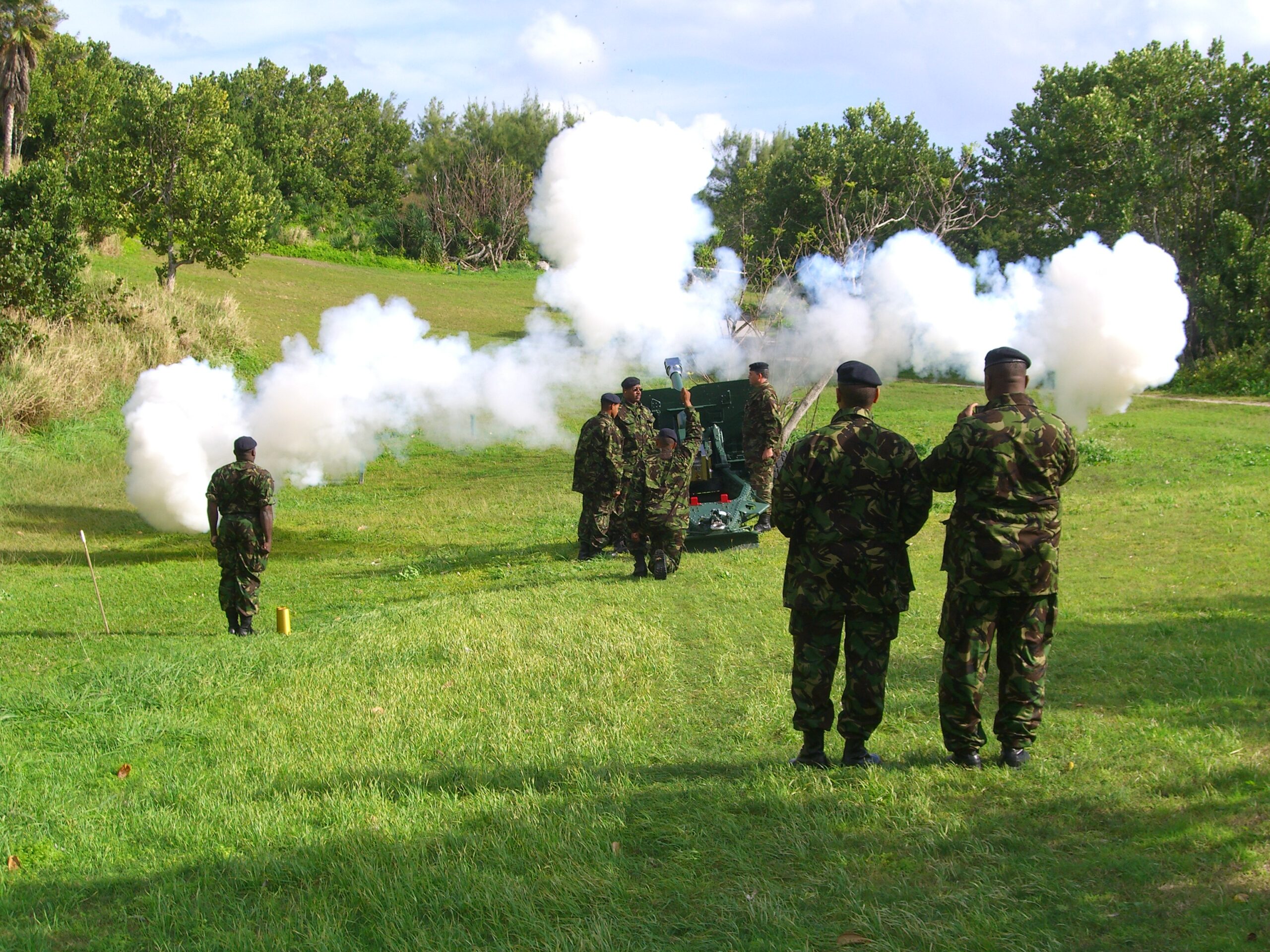OIC Practice Saluting Gun Course Jan 2008 2