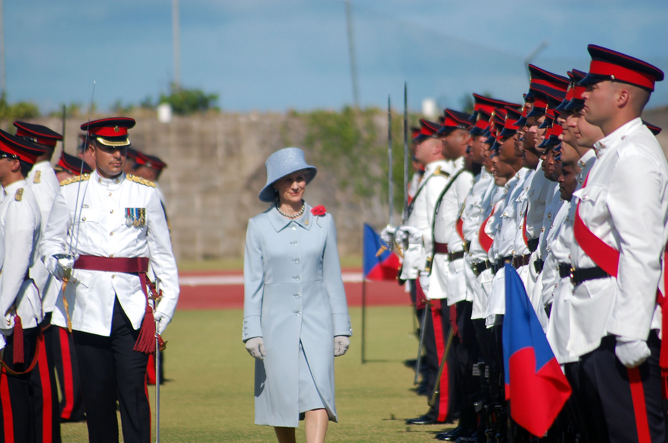 The Presentation of Colours 13 November 2010 1