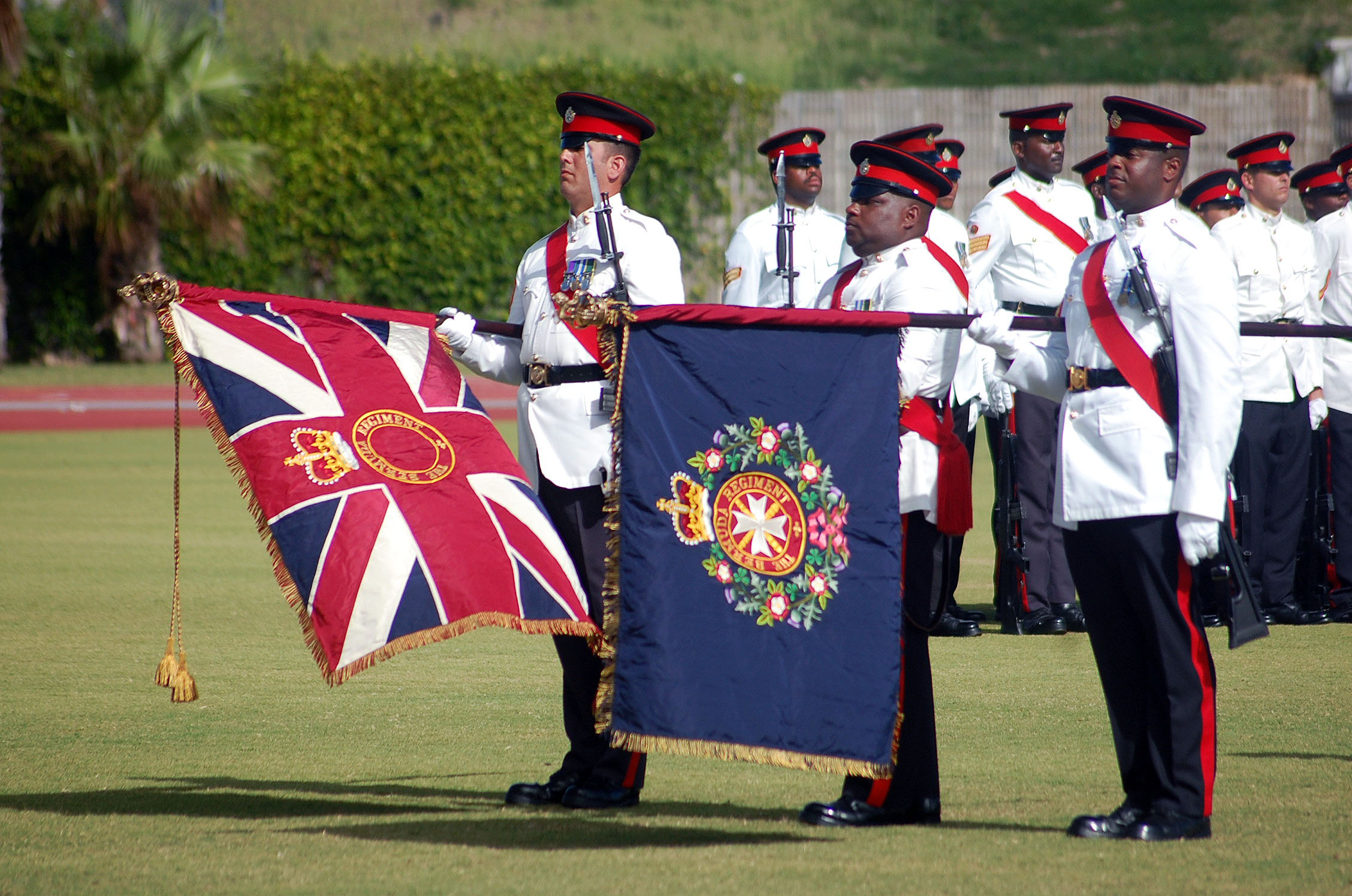 The Presentation of Colours 13 November 2010 2