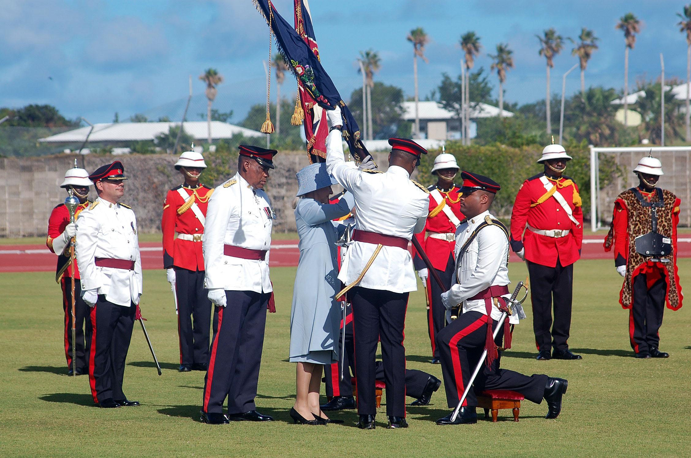The Presentation of Colours 13 November 2010 4